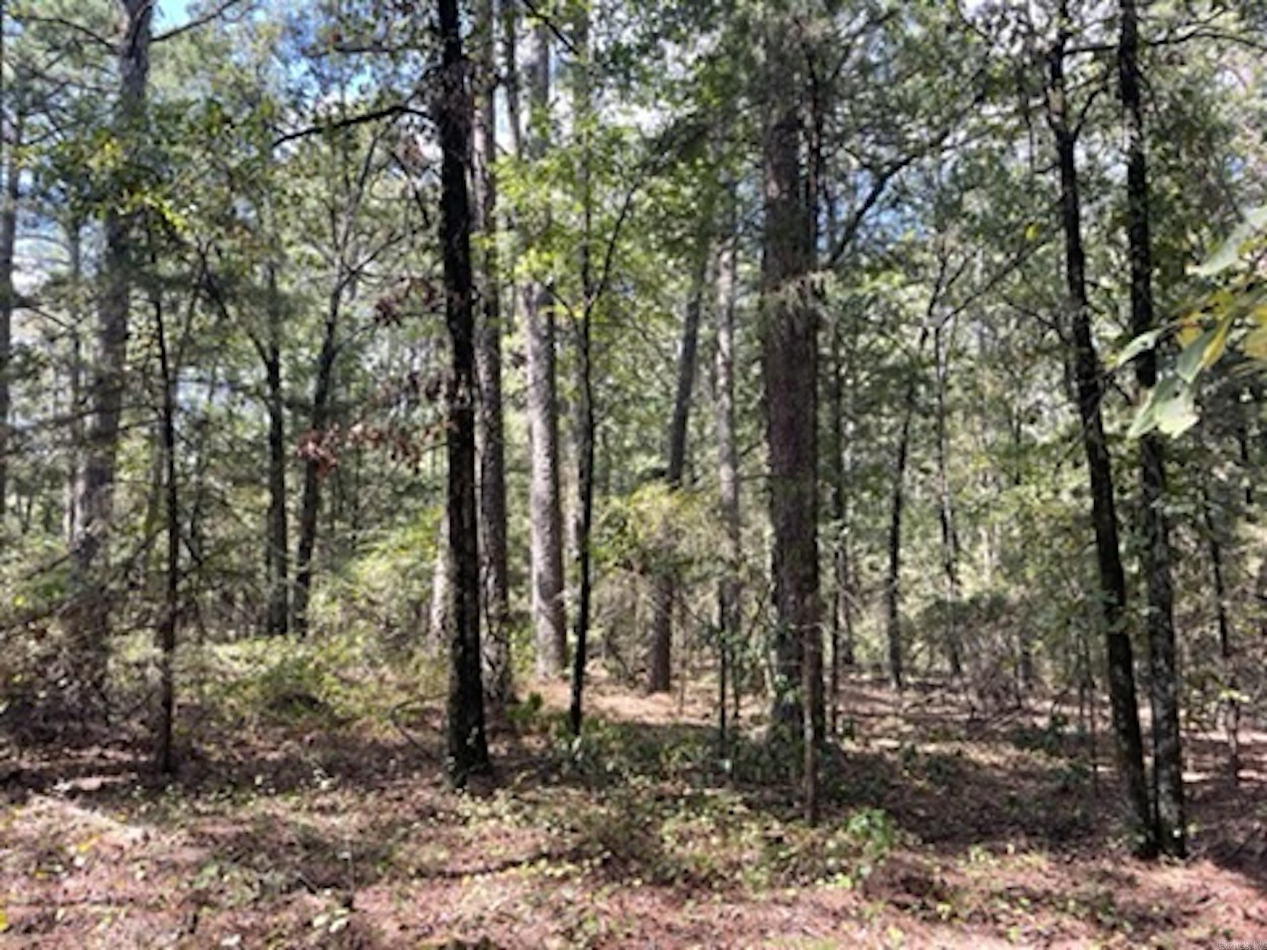 Not in Subdivision - Land