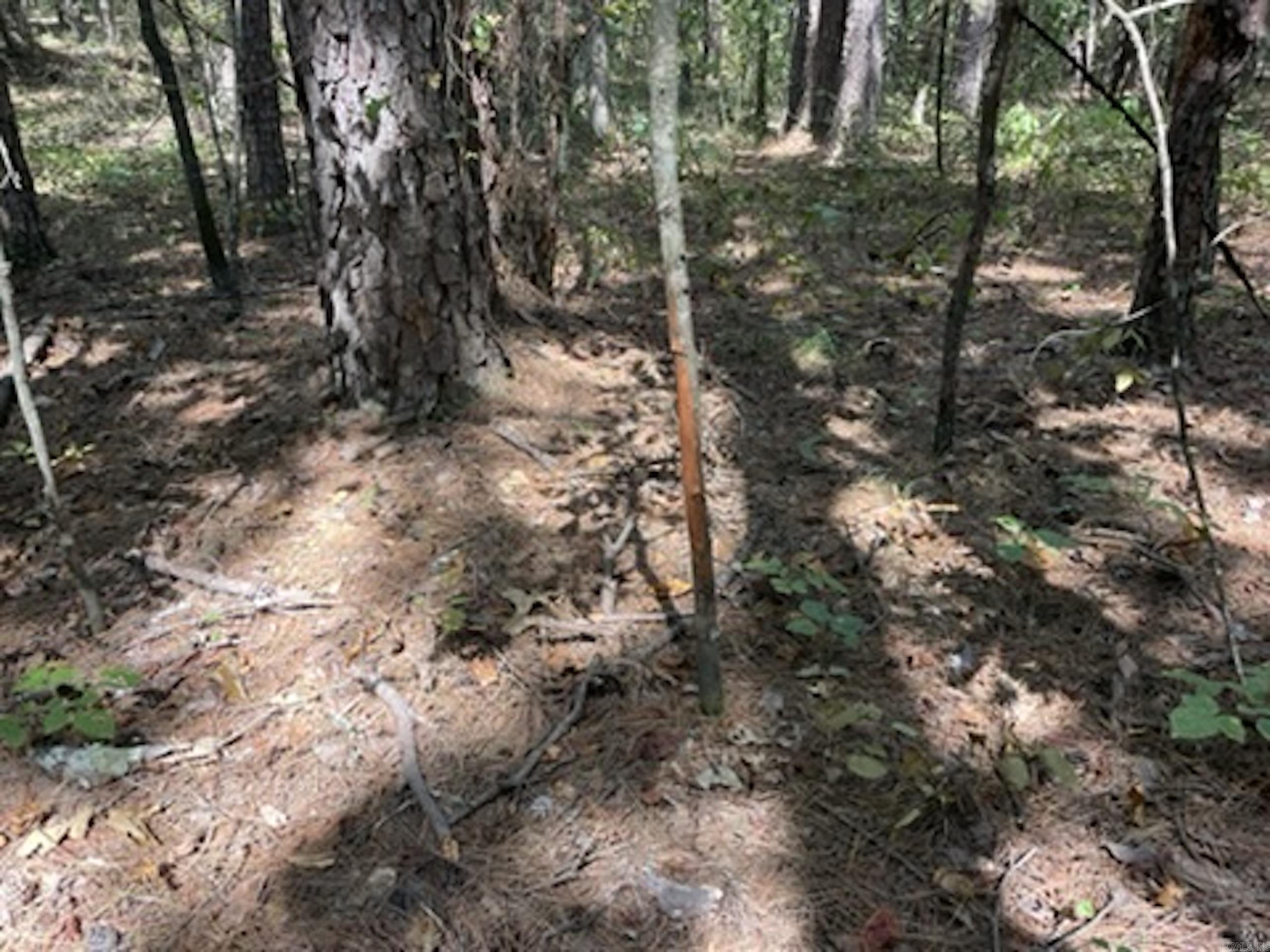 Not in Subdivision - Land