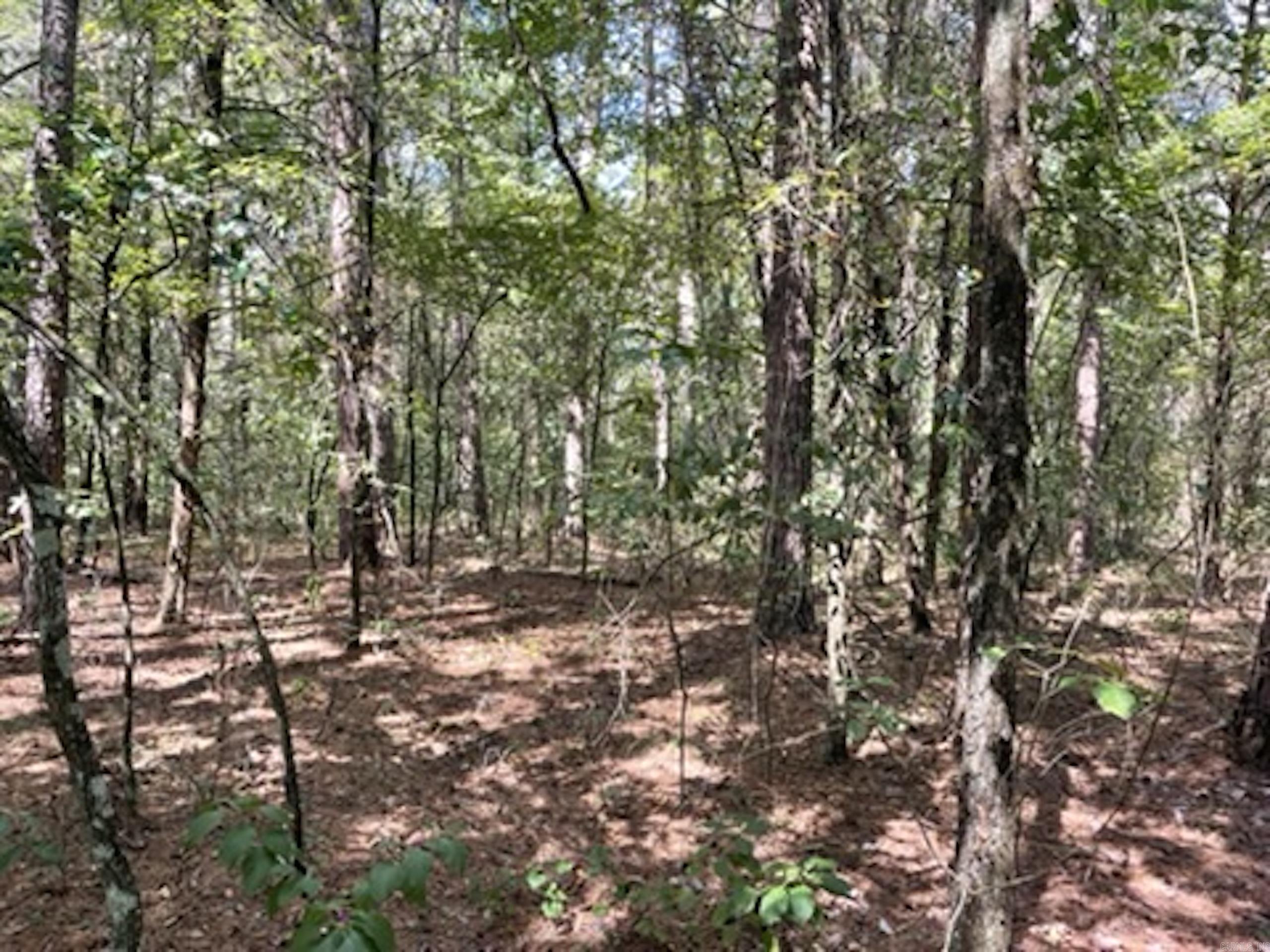 Not in Subdivision - Land