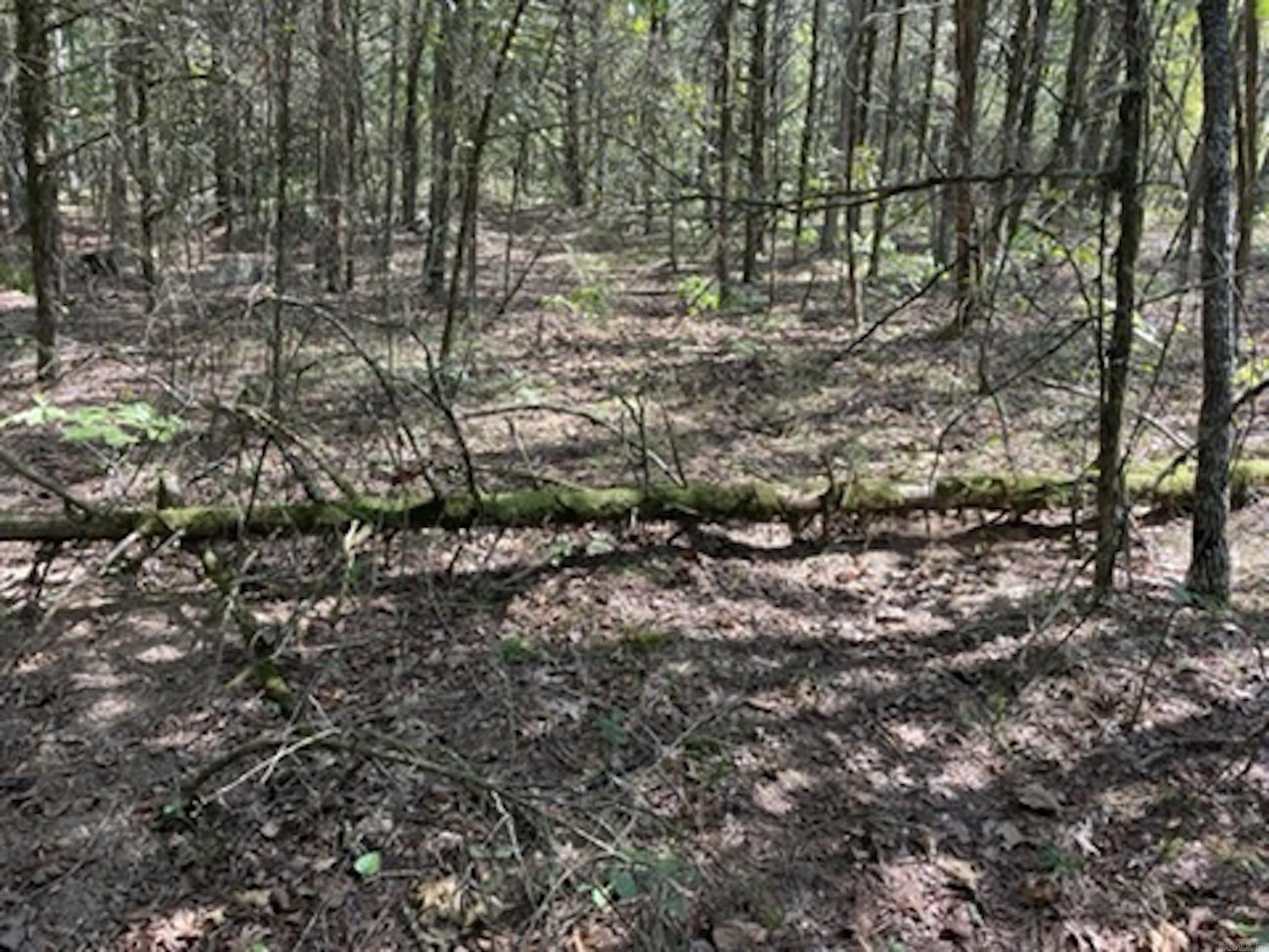 Not in Subdivision - Land