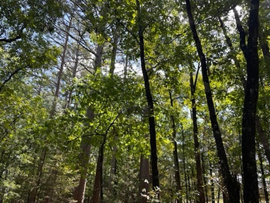 Experience the beauty of Arkansas with this fully timbered property nestled along the picturesque Spadra Creek. Boasting breathtaking views of the Boston Mountains, this land is perfect for outdoor enthusiasts and nature lovers alike. With abundant wildlife, including deer and turkey, and exceptional fishing in the scenic Spadra Creek, this property offers endless recreational opportunities. Choose from several prime building sites to create your dream retreat, all while enjoying the convenience of being close to the interstate and nearby amenities. Mineral rights convey, adding to the value of this remarkable property. Whether you envision a private getaway, a hunting lodge, or a peaceful homestead, this land provides the perfect canvas for your vision.