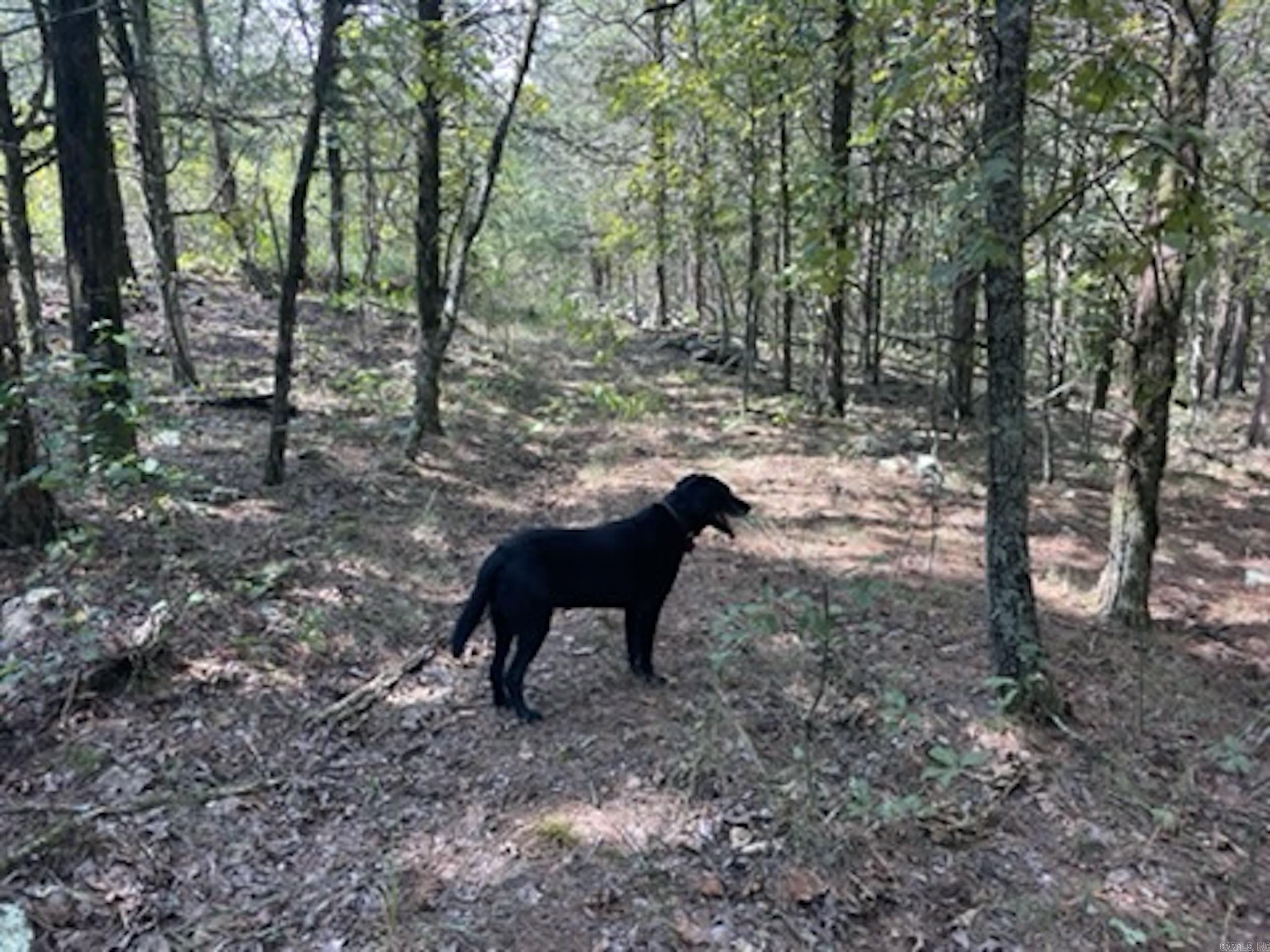 Not in Subdivision - Land