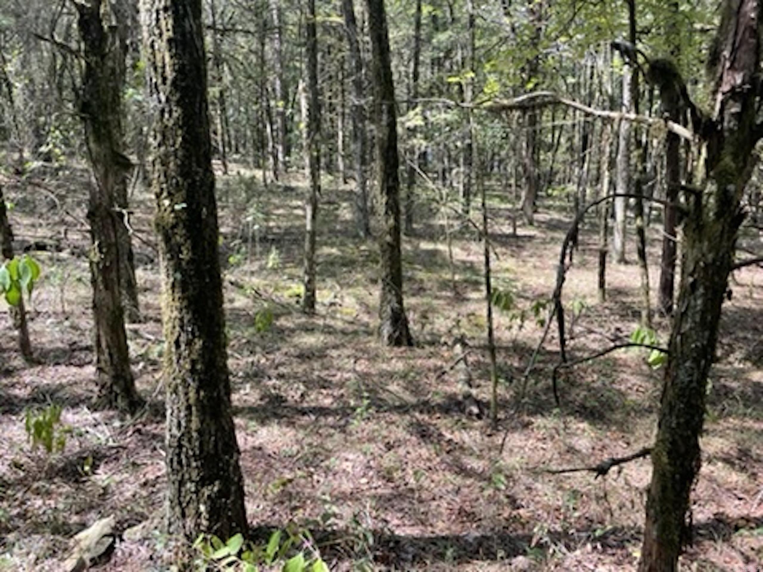 Not in Subdivision - Land