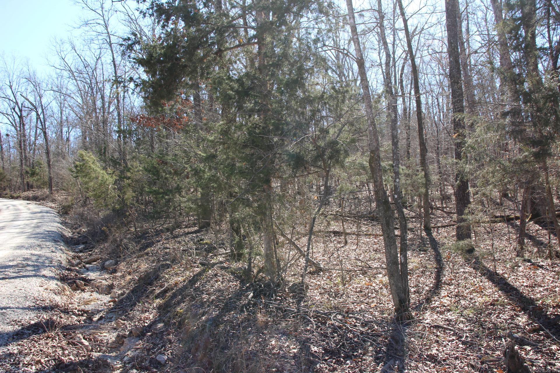 2: 8 m/l acres, all wooded with a gentle slope and less than 3 miles to the gorgeous White River. Build your home and enjoy the seclusion this property offers. Good mix of hardwoods, power available.