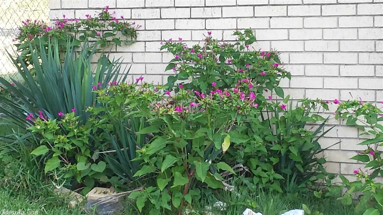 College Terrace - Residential