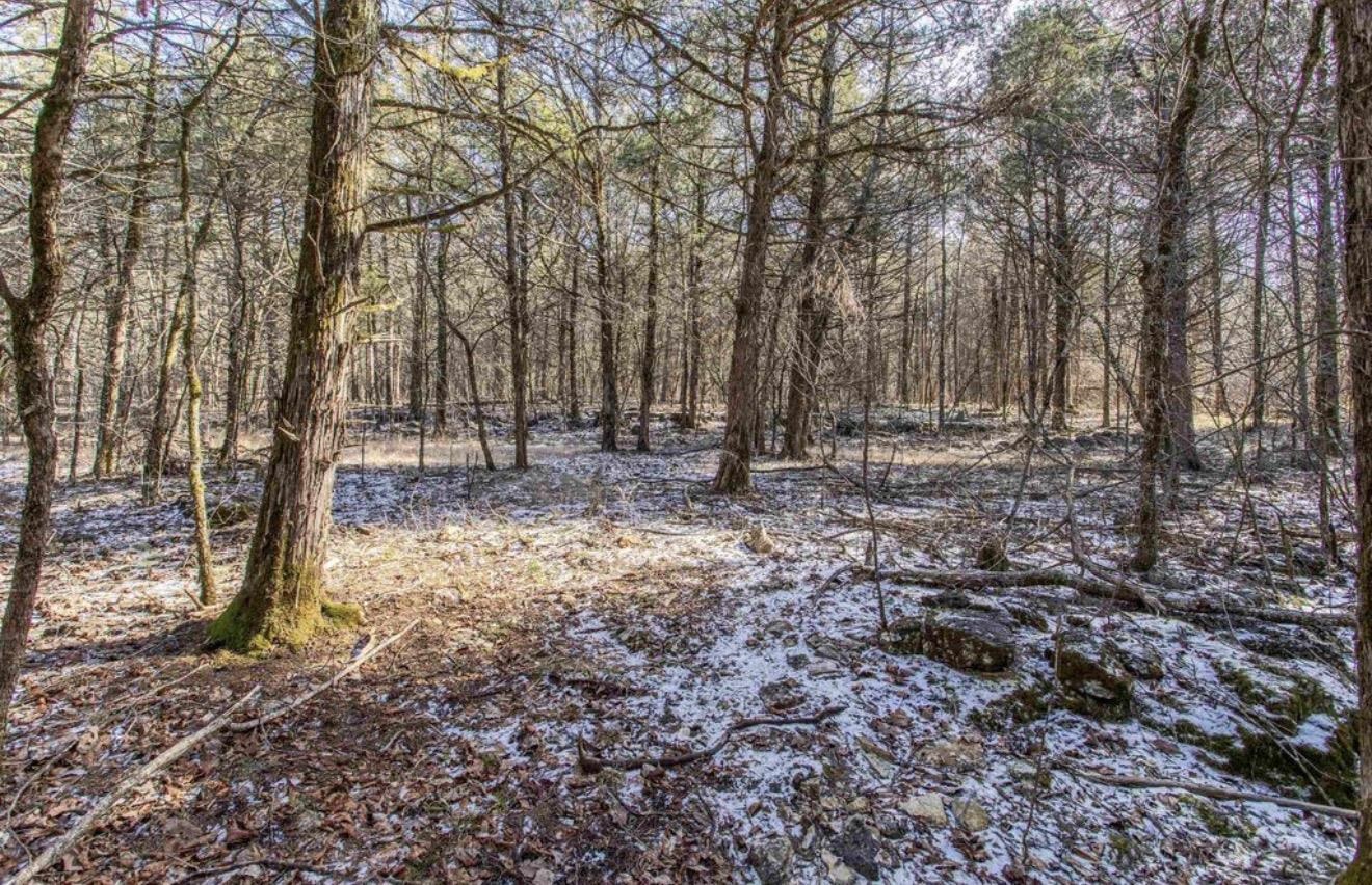 Mountain Valley Estate - Land