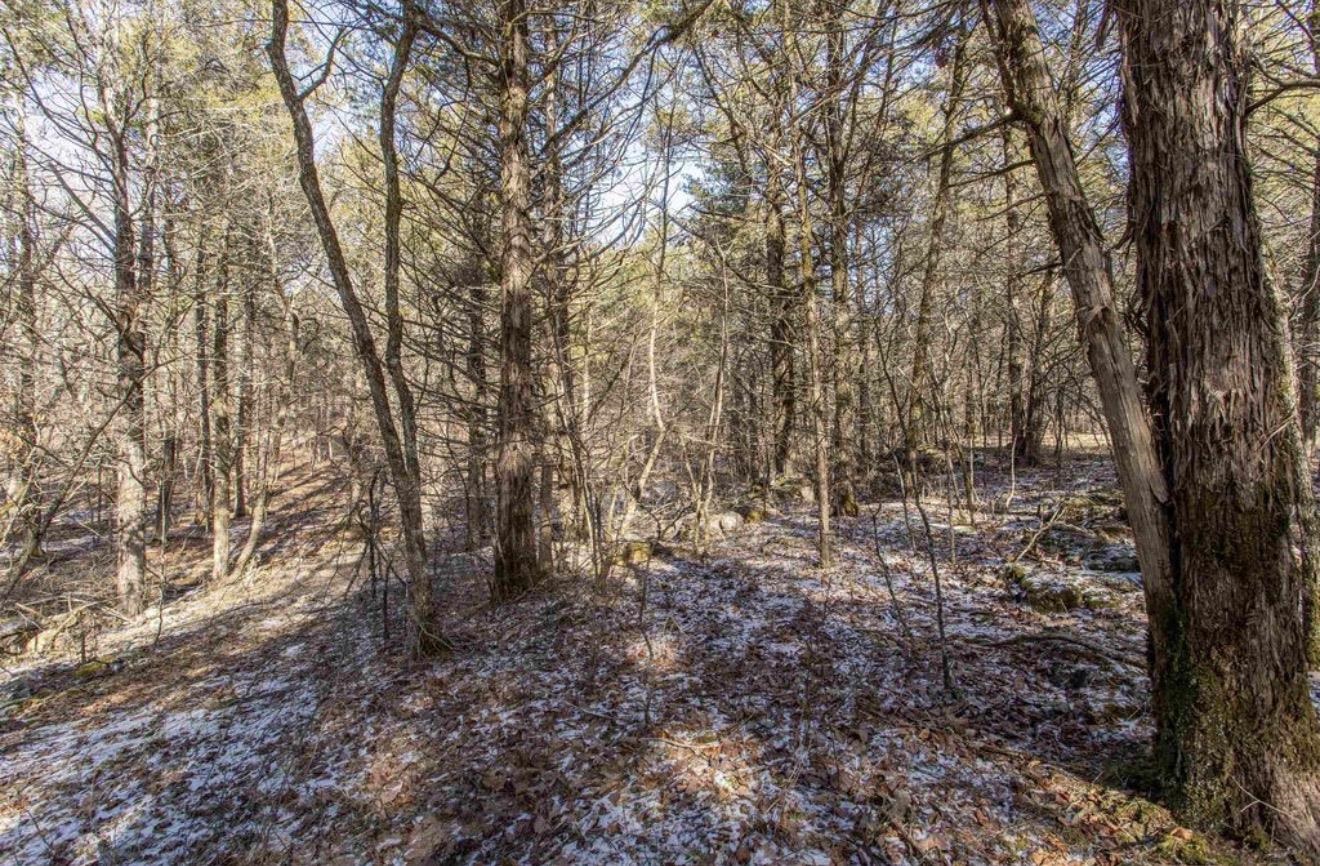 Mountain Valley Estate - Land