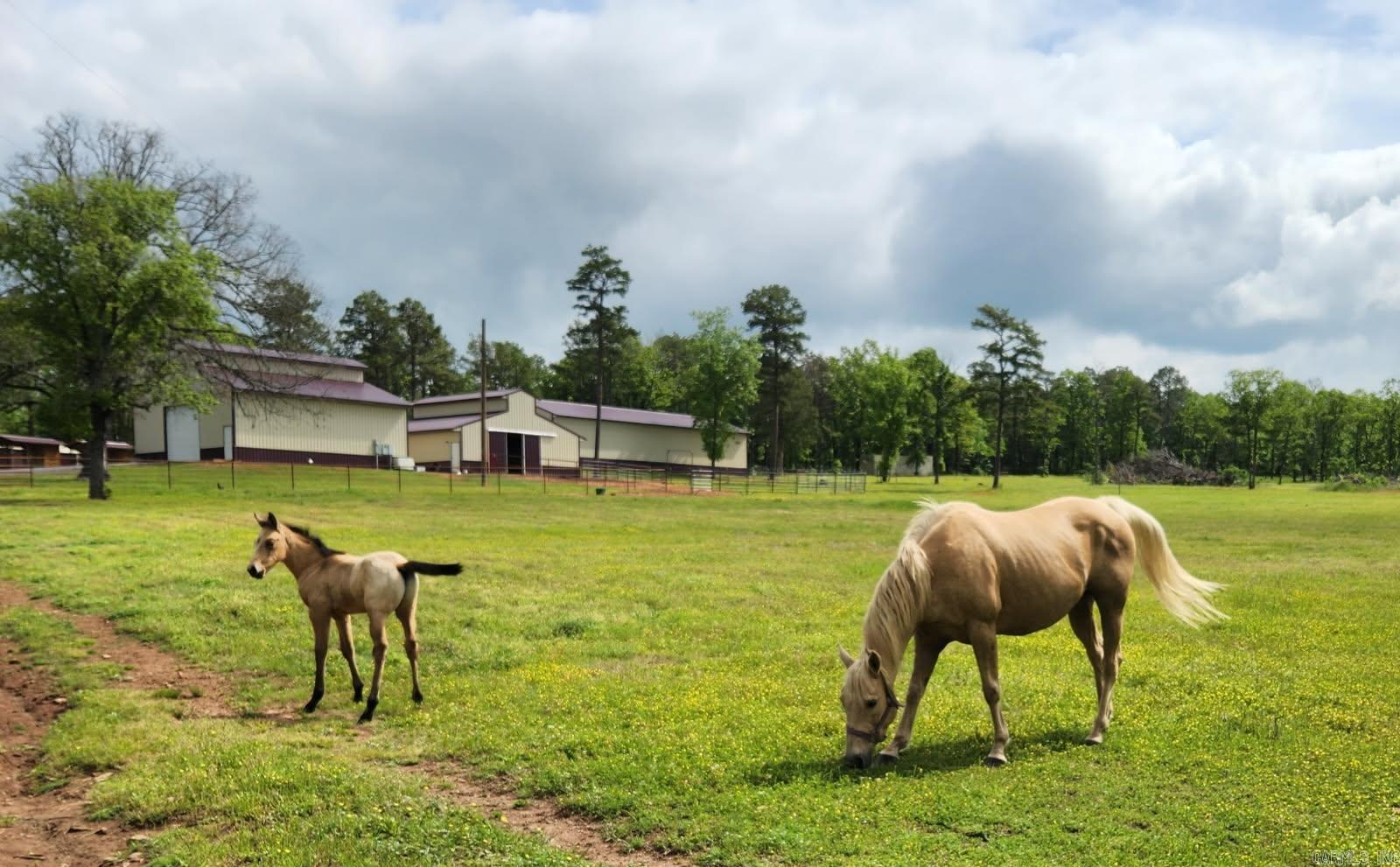 Metes & Bounds - Residential