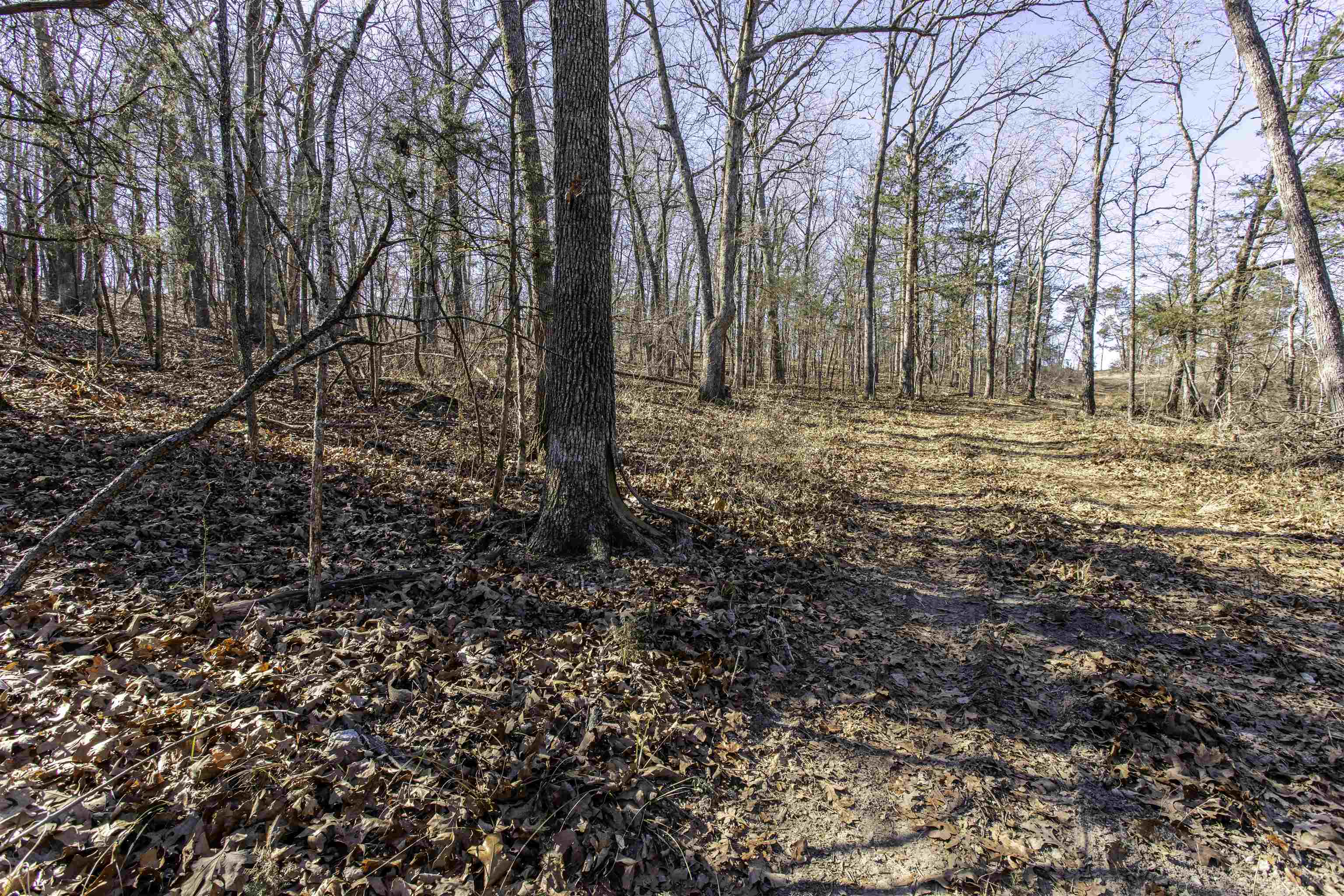 Metes & Bounds - Land