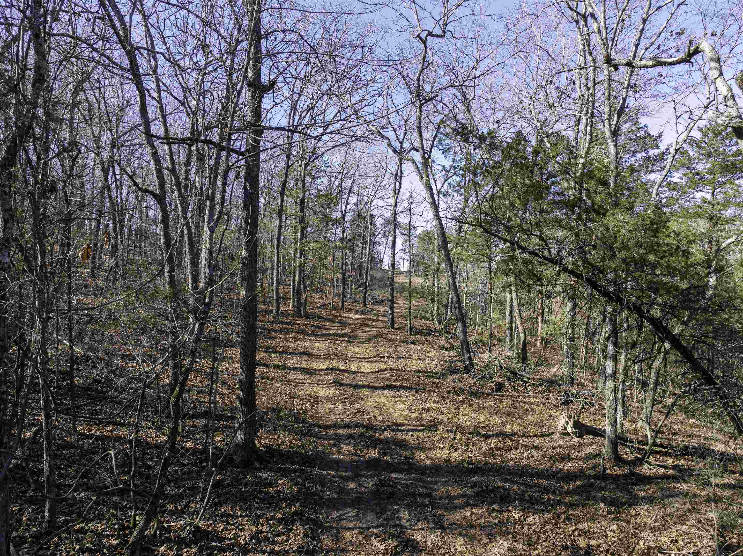 Metes & Bounds - Land