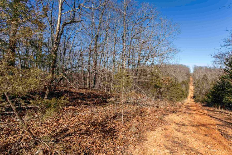 102± Acres | Premier Hunting Tract | Sharp Co., AR  This 102± ac no-compromise hunting property is built for the serious outdoorsman. Located on the south end of Harold Alexander WMA, the land allows direct walk-on access to approx. 13,000± ac of public hunting ground, creating a rare private-to-public setup.  Property is loaded w/ deer, turkey, hogs & furbearers, supported by mature cedar timber up to 70’, natural travel corridors, and elevated stand locations. Passover Creek (rock-bottom), additional wet-weather creeks, and 2 potential pond sites provide reliable water and strong game movement.  Terrain is mostly flat & easily navigable, ideal for trail systems, food plots, and quiet entry/exit routes. Total seclusion—no houses, no road noise, no close neighbors. Adjoining landowner controls approx. 1,500 ac, helping preserve long-term privacy and low hunting pressure.  Exceptional turkey habitat, strong wildlife sign, and rare access make this a standout hunting investment.