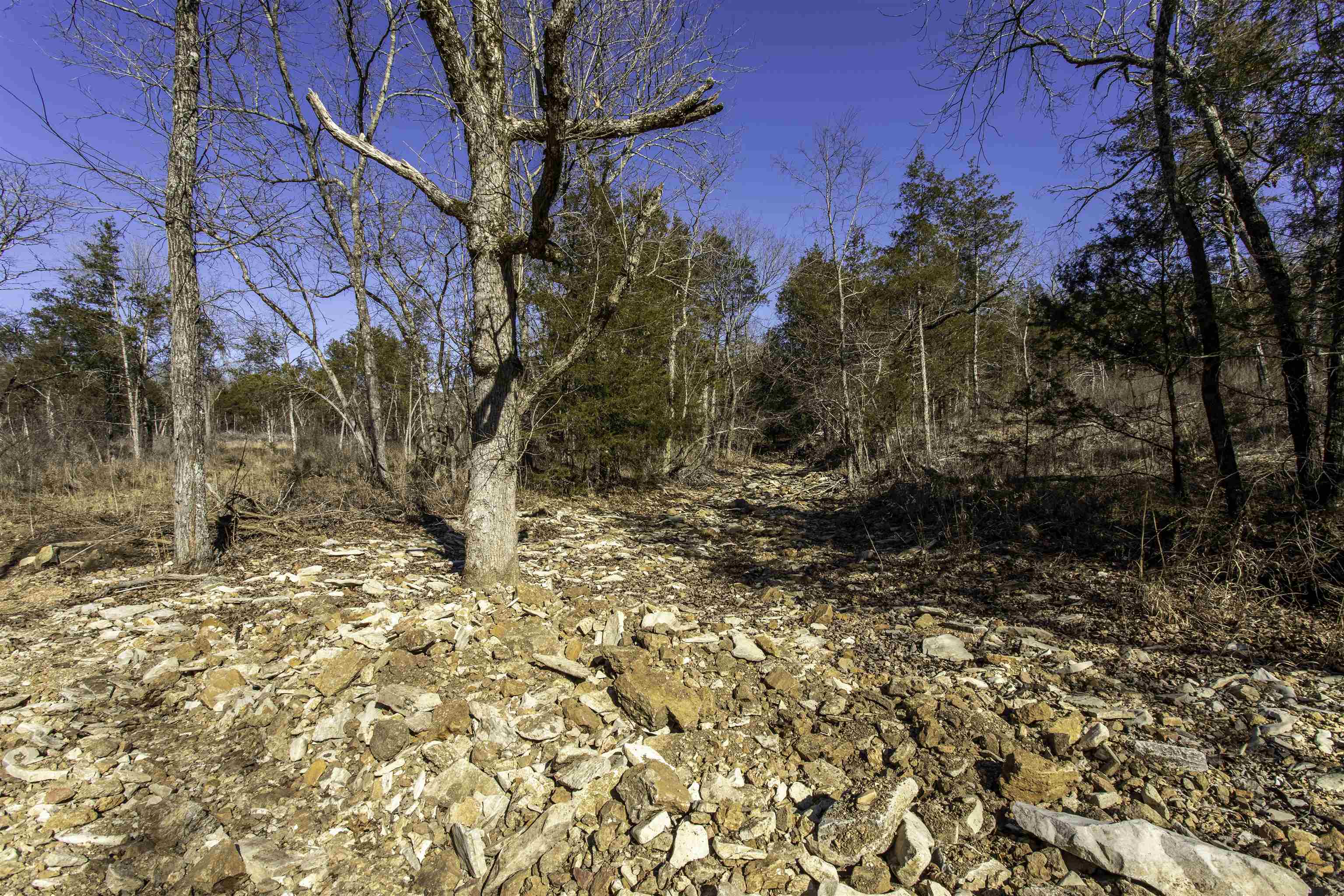 Metes & Bounds - Land