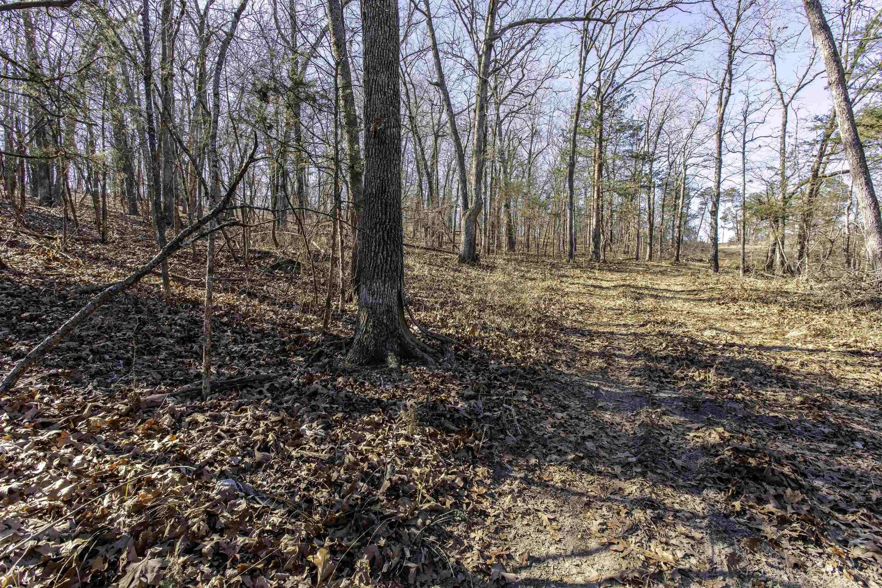 Metes & Bounds - Land