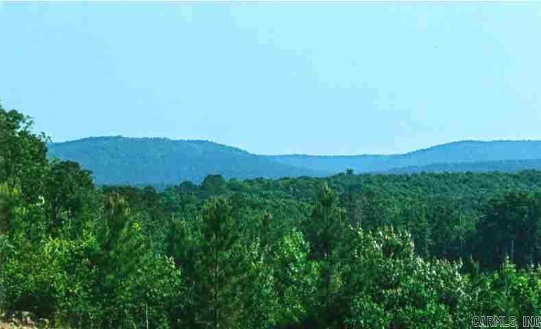 Spectacular View! Centrally located between Hot Springs, Ft Smith, & Texarkana in the Ouachita Mountains, this 79 acres boasts a Spring-fed Creek lined with mature hardwood trees, a freshly seeded Pasture, young Pine plantings, wooded areas for privacy and game habitat, and a hilltop Building Site with tremendous vista views and seclusion. The property has been surveyed, with approximately fifteen acres of pasture newly seeded. The views are stunning. Trails have been cut through the land for access to all of it's multiple features. Rural water and power are at the west side of the property. Fully fenced with the exception of one small portion that was removed to accommodate new survey. A large pond or lake could be engineered easily into several locations along the center valley of the acreage. Wildlife is abundant, and the property is only minutes from Mena. The National Forest, Lakes, ATV trails, Dirt Bike trails, Fishing & Hunting, and Canoeing the rivers, are all readily available, and the area is preparing for the new Mountain Bike Trails currently proposed in the area of Rich Mountain. Agents, please call or text listing agent before showing. Gate is locked.