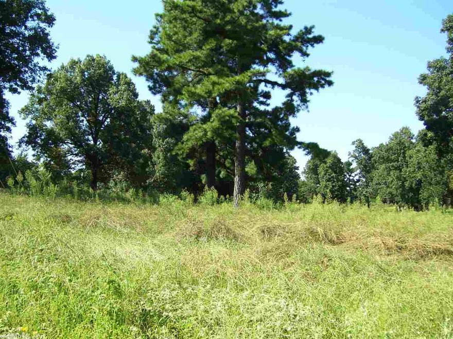 Perfect site for building your dream home! Partially cleared on paved road, with large trees for shade. Less than 2 miles from Hwy 49 South allows easy access to Paragould and Jonesboro. Call today to see this lot.