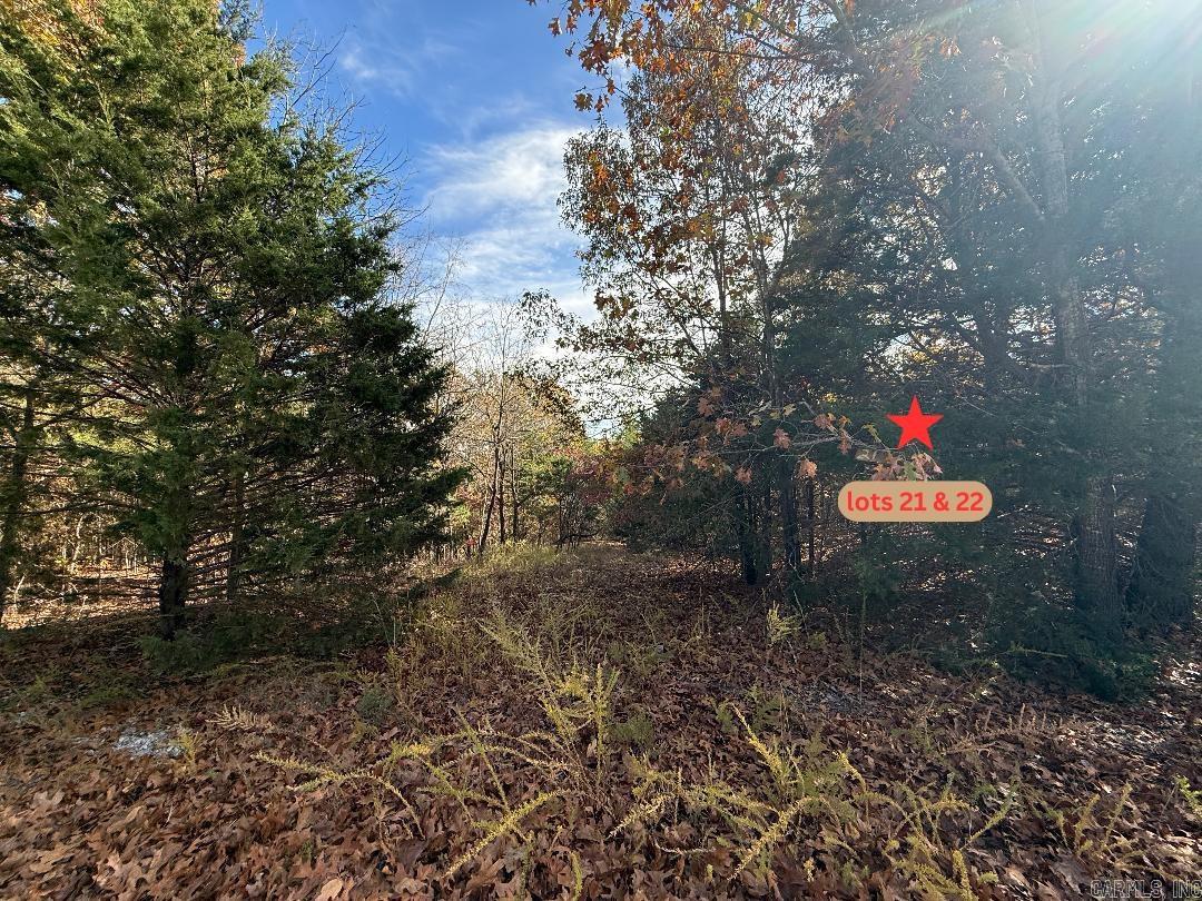 Starlight Estates - Land