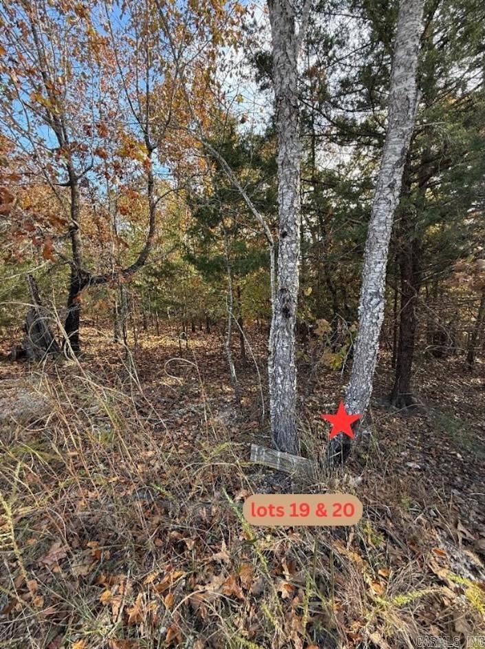 Starlight Estates - Land