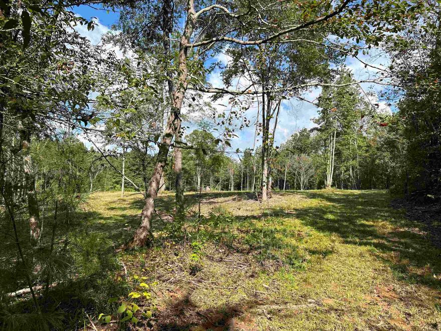 Beautiful hilltop homesite is waiting to build on, bring your plans!  Trees on this property were selectively removed to build a home and shop; otherwise the property is surrounded with mature trees and nice views.  Plenty of room to build a shop, biking trails, or pond.  Nice location within minutes of I-30, schools, hospital and shopping. Approximately 15 minutes from Lake Degray.  Utilities are not on site but located on Cedar Grove Road.