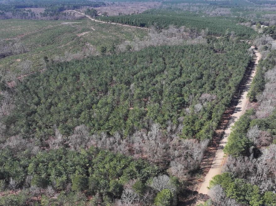 This 34.78-acre property on Edwards Road in Mineral Springs offers endless possibilities. Whether you're looking for recreational land, development potential, or space to enjoy, this acreage is a great opportunity. Priced at $125,000.