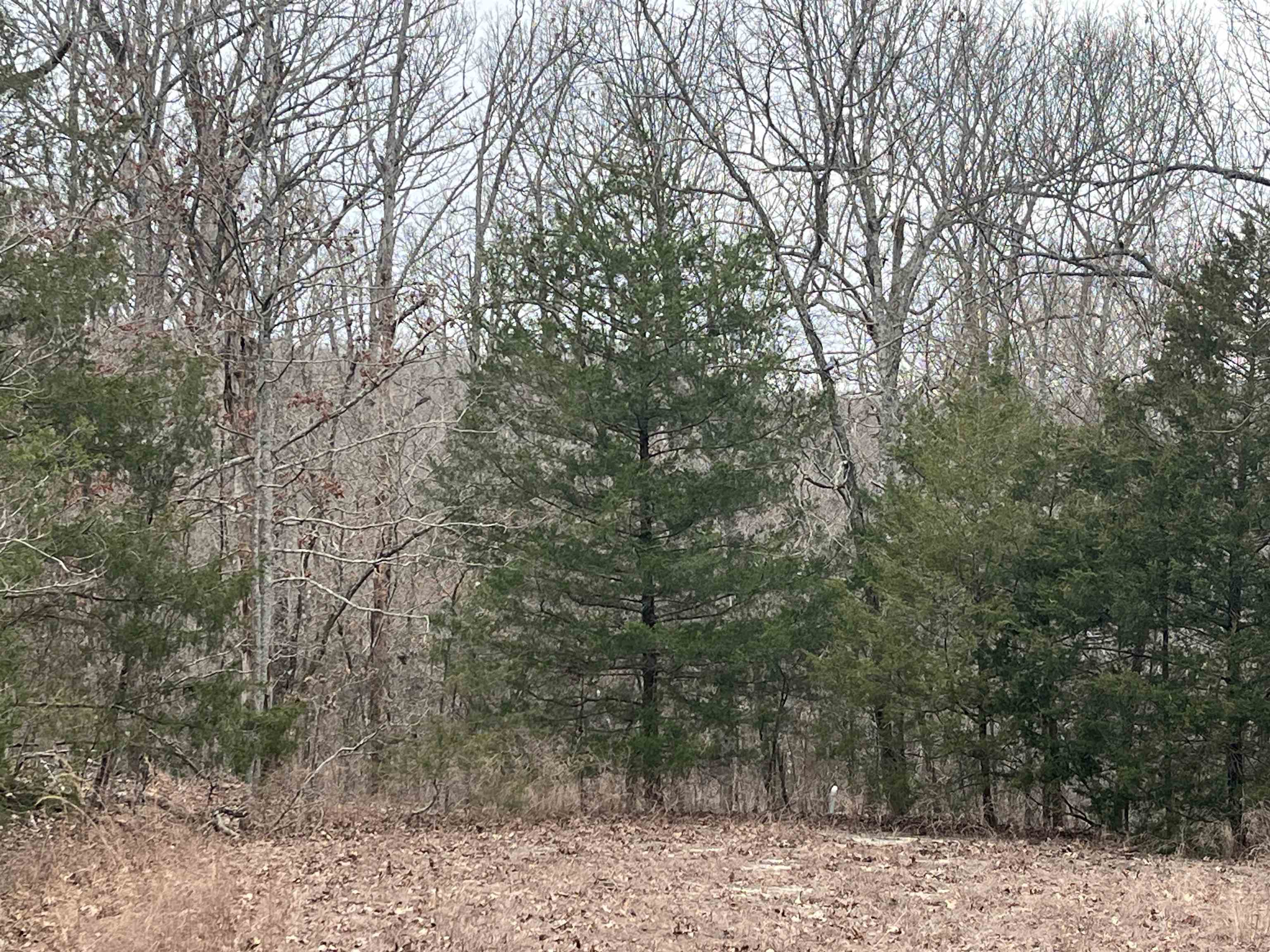 Two fairly level, adjoining lots hidden at the end of a cul-de-sac and just around the corner from a cove on the backside of Lake Omaha. The backside of the lots have a small section of Common Properties before connecting to the main road of Pottawattamie Road. Privacy for sure but also close enough to civilization.