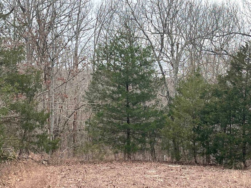 Two fairly level, adjoining lots hidden at the end of a cul-de-sac and just around the corner from a cove on the backside of Lake Omaha. The backside of the lots have a small section of Common Properties before connecting to the main road of Pottawattamie Road. Privacy for sure but also close enough to civilization.