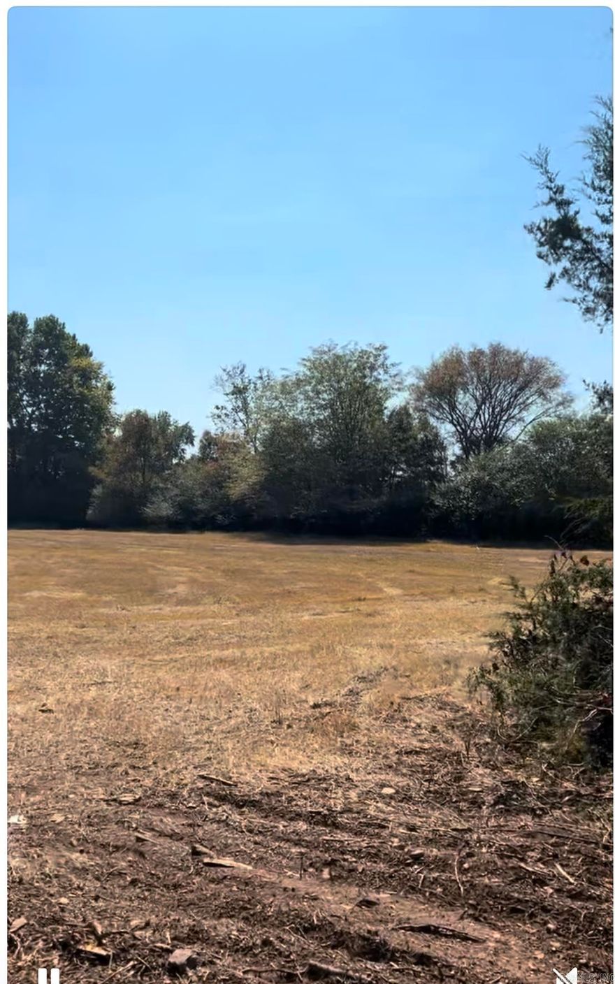 Beautiful lot located 2 miles from Hwy 65. 15 minutes to Clinton and only 30 min from Conway. Water, electric and fiber internet at the road. New driveway, water meter and septic installed. Perk test available.
