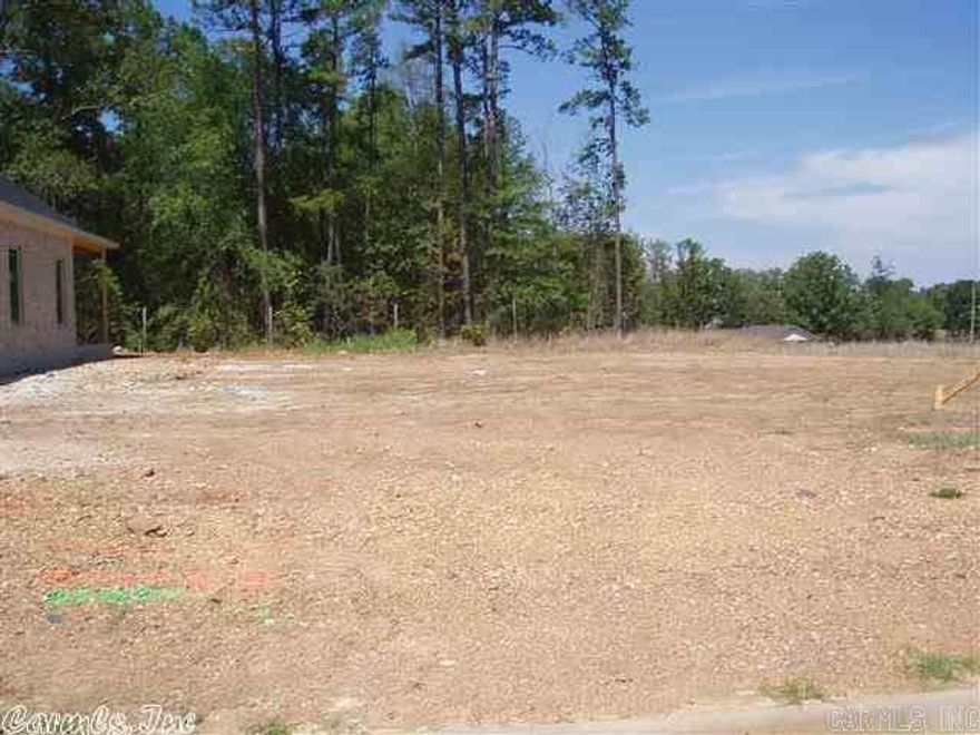 Sold before listed. Buyer selected finish outs after selecting floor plan from Builder's set of house plans for this neighborhood.