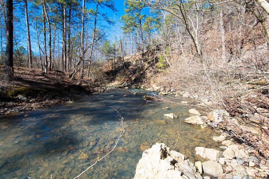 Escape it all on 10 glorious acres in the sought after Board Camp area, in the heart of the Ouachita Mountains. This property offers STUNNING 360 PANORAMIC VIEWS, year-round Macks CREEK ACCESS, multiple build sites, and sits 1/2 mile from the world class WOLF PEN GAP ATV trails. This property is the ultimate project for investors looking to build multiple INCOME GENERATING cabins, or who may want to subdivide  into high value lots. There are truly endless possibilities with this property!