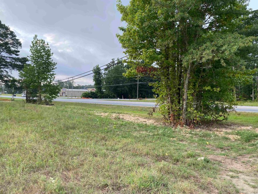 HIT THE HOT SPOT!!! PRIME REAL ESTATE! 10.7 ACRES OF COMMERCIAL LAND, WAITING TO BE DEVELOPED AND MADE THE NEXT GO TO PLACE IN WHITE HALL! CALL ME TODAY TO GET MORE INFOR AND A COPY OF THE SURVEY. HOT TICKET INVESTMENT!!