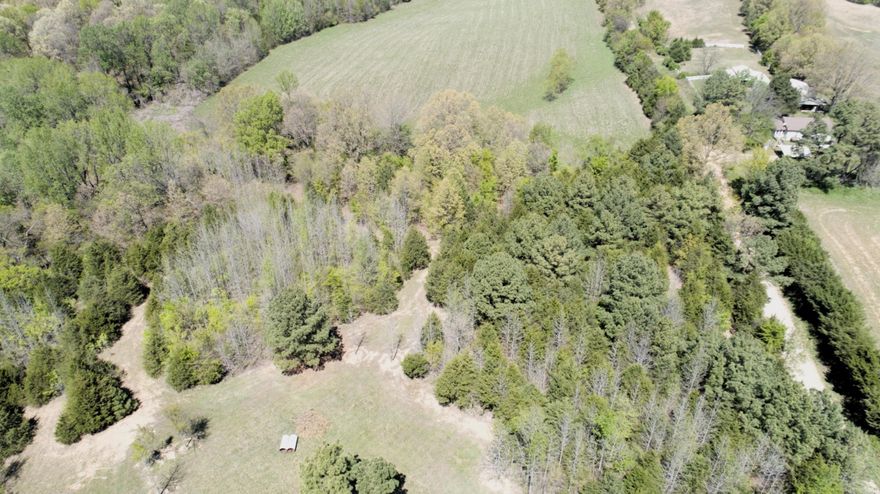 This beautiful nestled in the heart of Clay County on scenic Crowley’s Ridge, this property offers 15 acres of woods with 2 ponds would be a perfect building place for your new home with lots of wildlife on the property to watch or hunt.