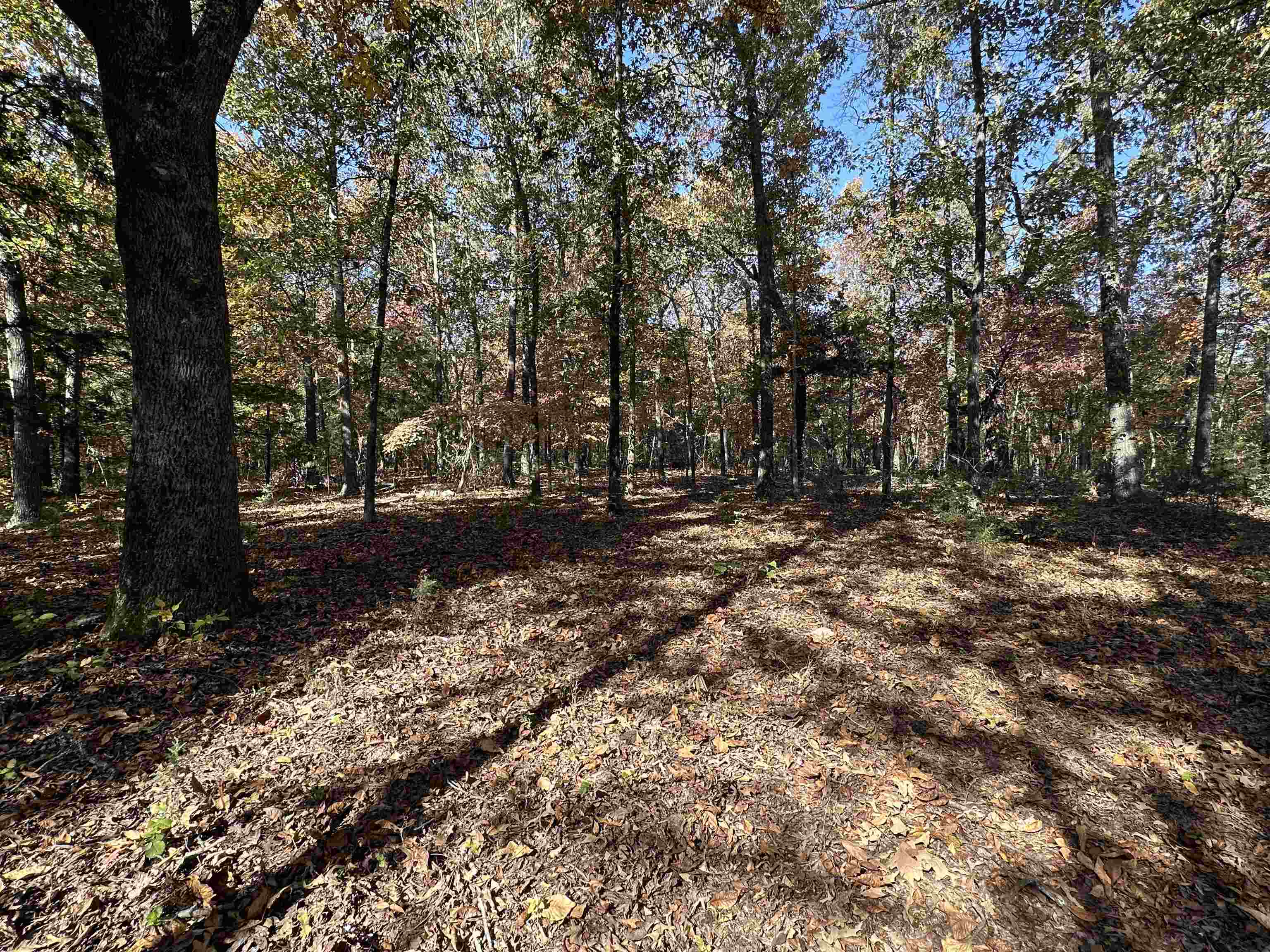 Metes & Bounds - Farm