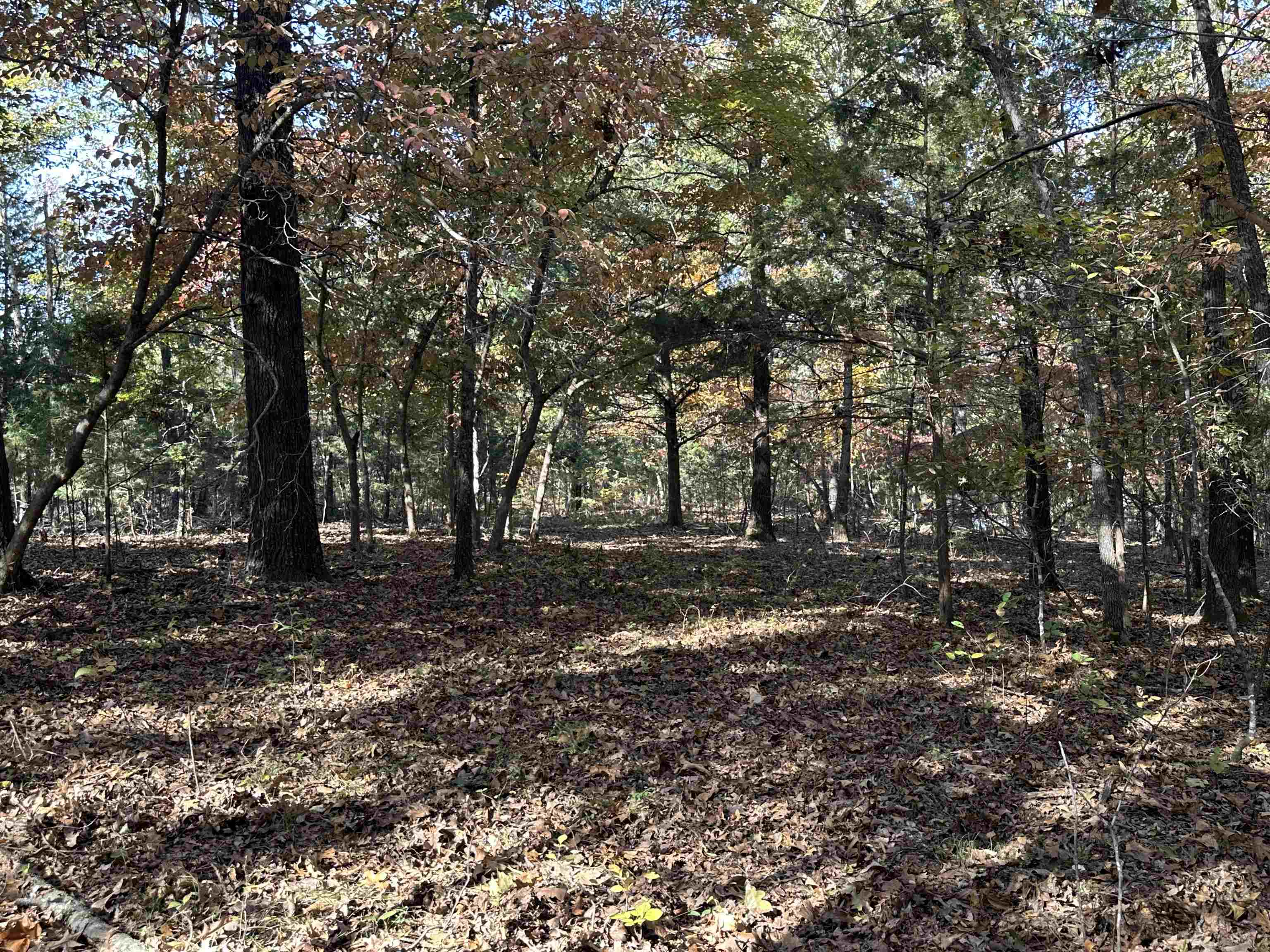 Metes & Bounds - Farm