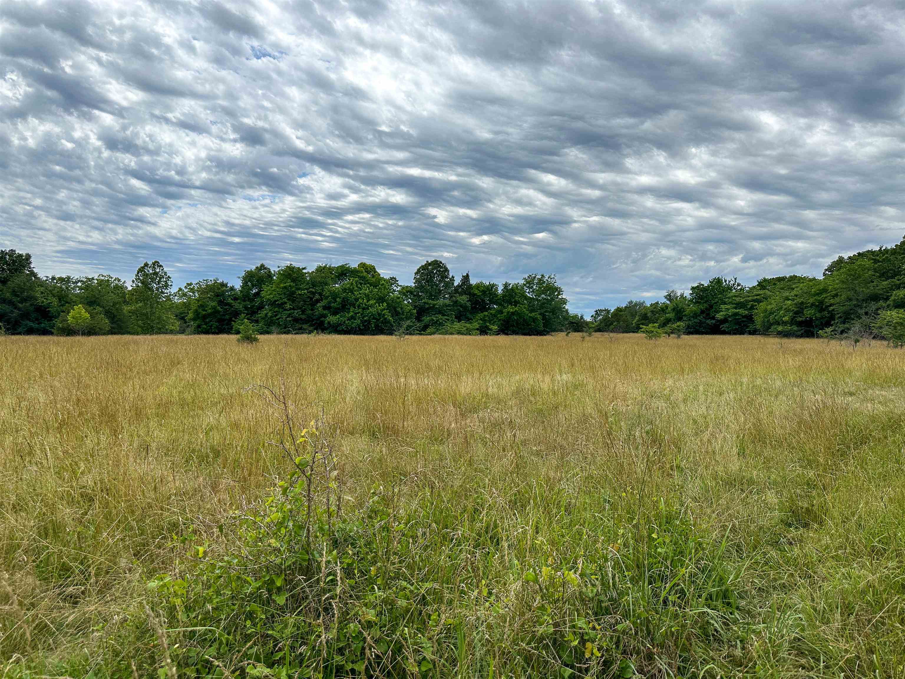 Metes & Bounds - Farm