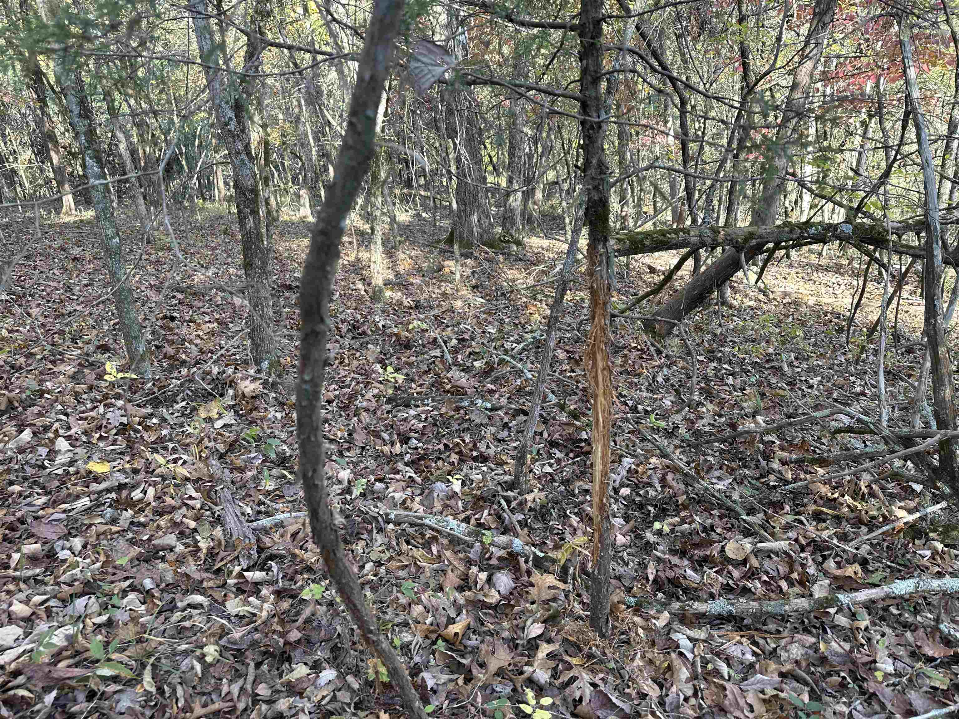 Metes & Bounds - Farm