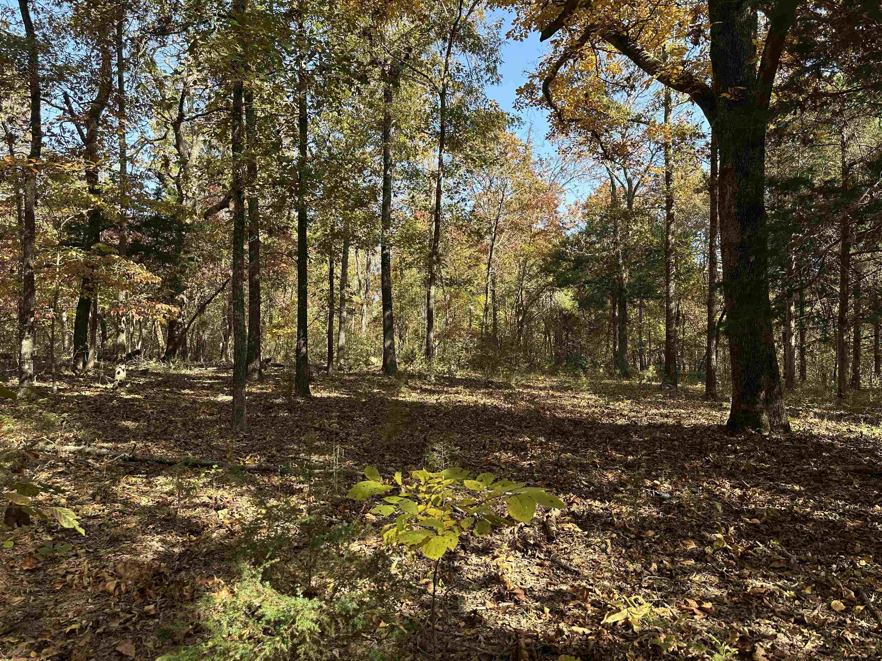 Metes & Bounds - Farm