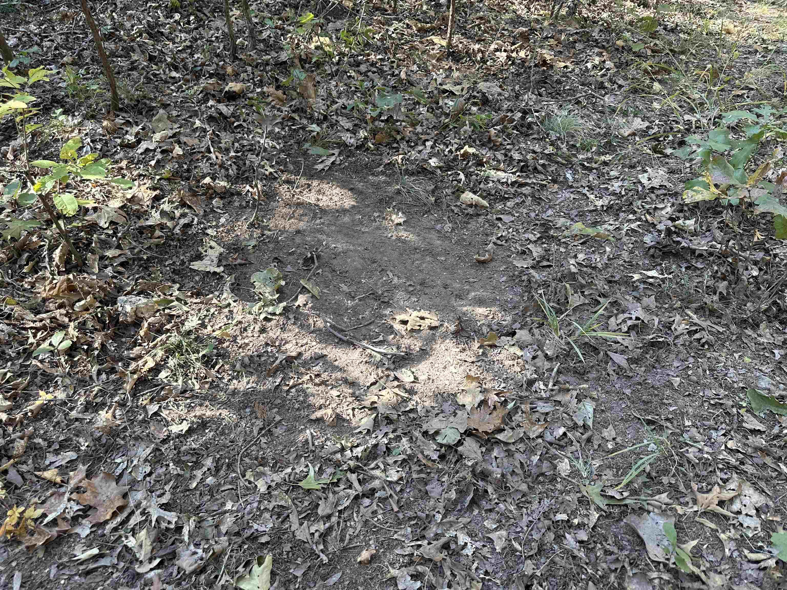 Metes & Bounds - Farm