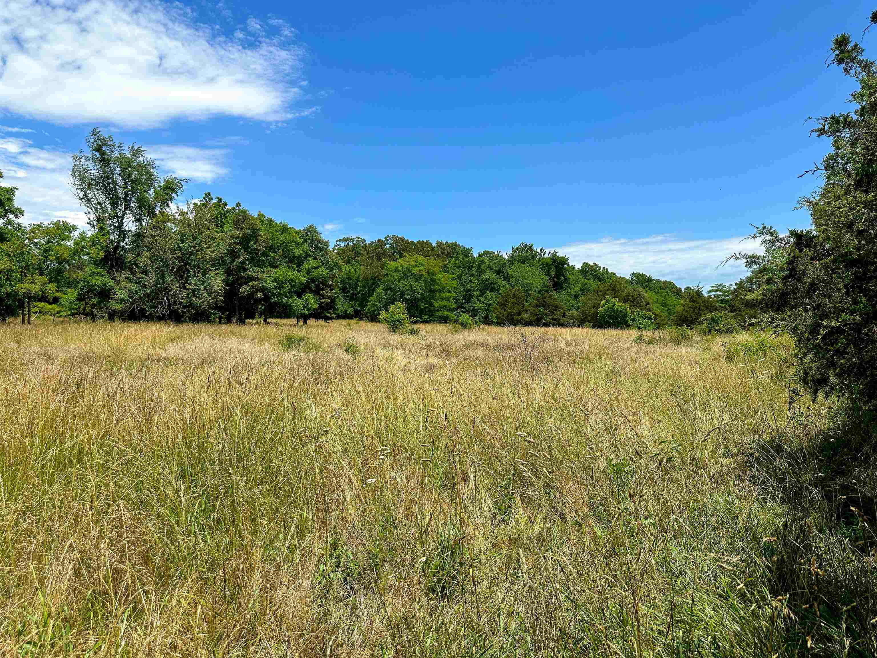 Metes & Bounds - Farm