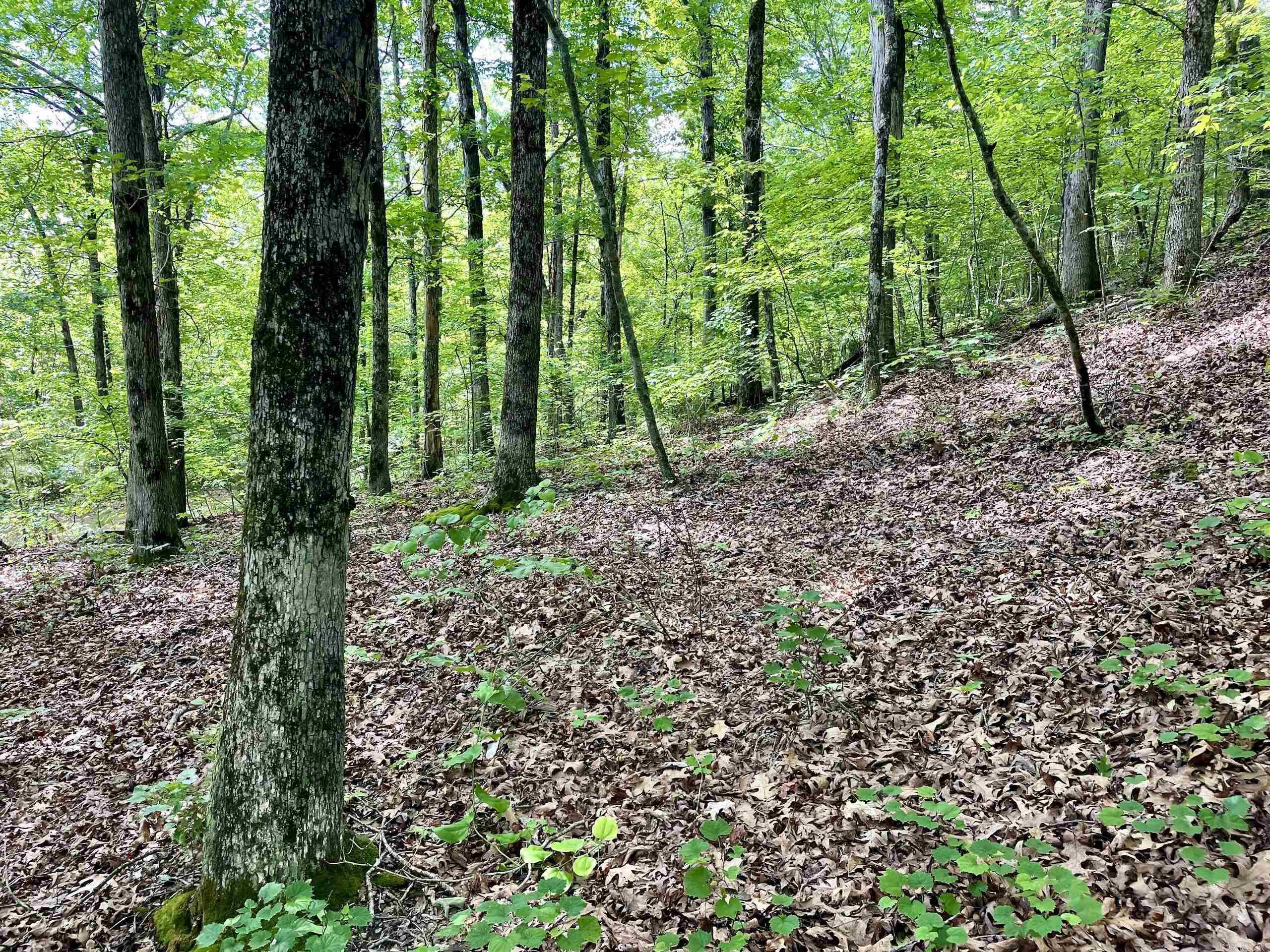 Not in Subdivision - Land