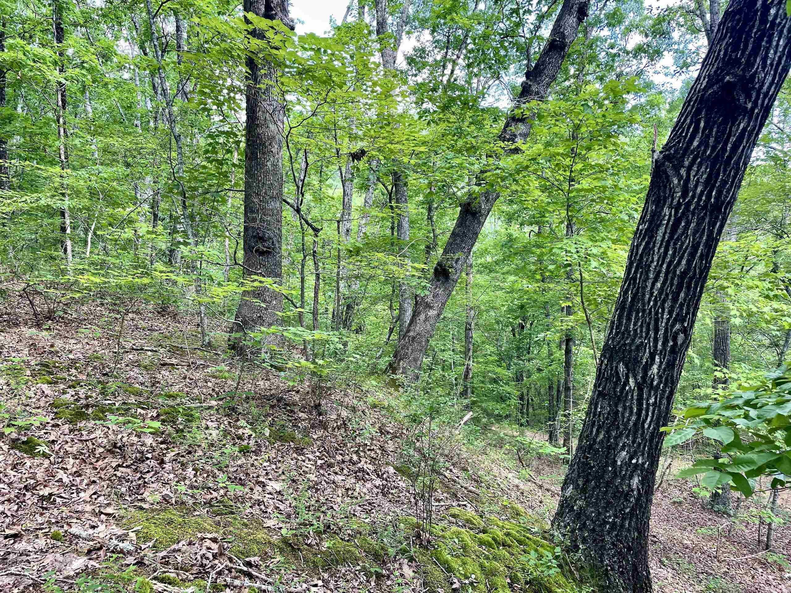 Not in Subdivision - Land