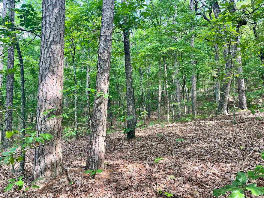 If you have been looking for recreational land that could also be your forever home with a flowing creek then don't overlook this property. It has a nice rolling topography with several building sites to choose from. Enjoy the sounds of Kings Branch, a flowing year round creek that winds its way across the entire property. Mature timber with some openings provide habitat that attracts and holds wildlife. With road frontage with utilities adding connivence to privacy and seclusion.