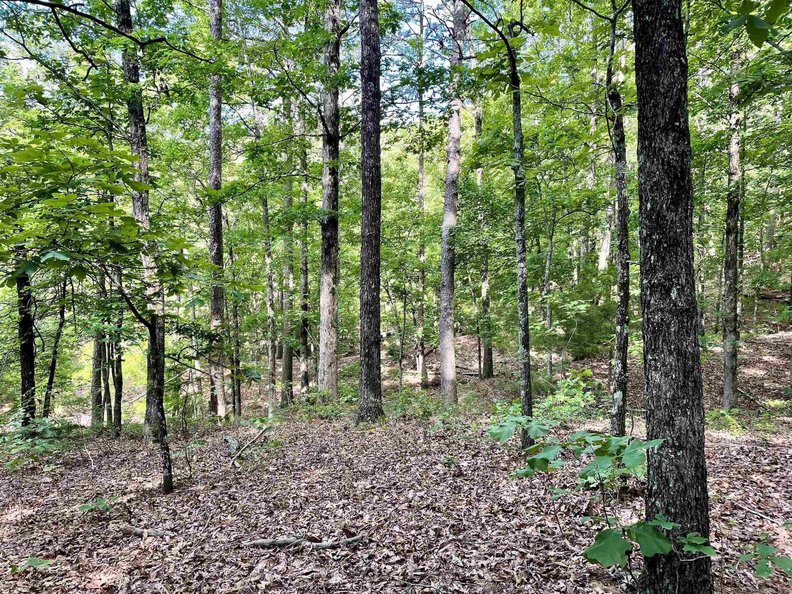 Not in Subdivision - Land