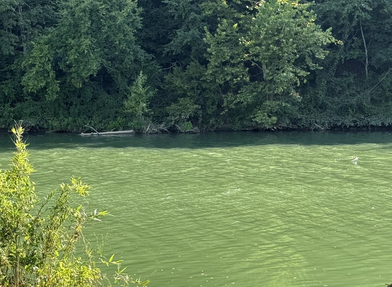 A rare find, right on the bank of the Spring River! Approximately 9.72 acres that consists of mostly pasture, some woods, and a wet weather creek, with great access to jump right in to the water. The property is pretty private, and the views are beautiful. This kind of property on the river doesn't come along very often, so don't wait!