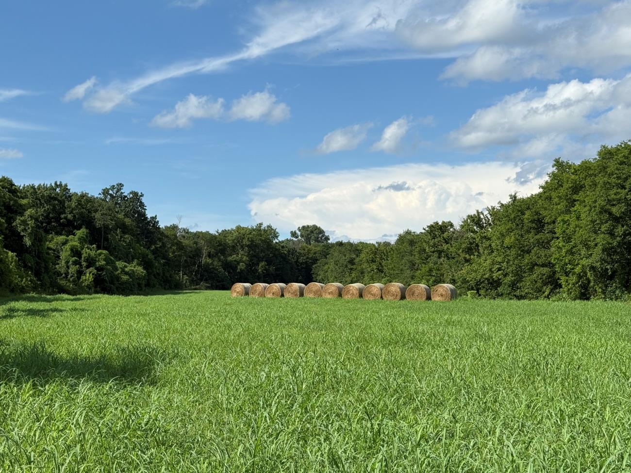 A rare find, right on the bank of the Spring River! Approximately 9.72 acres that consists of mostly pasture, some woods, and a wet weather creek, with great access to jump right in to the water. The property is pretty private, and the views are beautiful. This kind of property on the river doesn't come along very often, so don't wait!