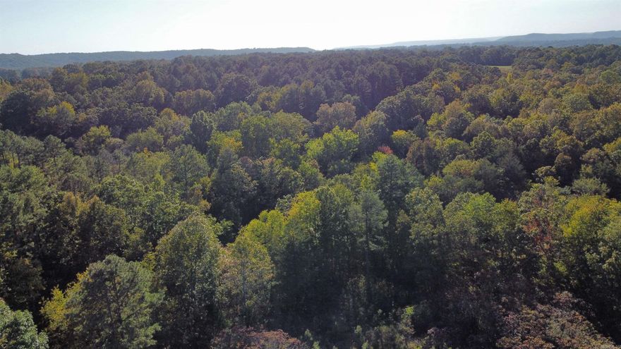 Looking for some wooded land? Come check out this secluded 14+ acre property priced to sell. Whether you're looking to create a weekend getaway, a permanent residence, or an investment opportunity, the possibilities are endless with this one. The cabin is fully equipped with utilities and ready for a new owner to provide the finishing touches. Plenty of deer!