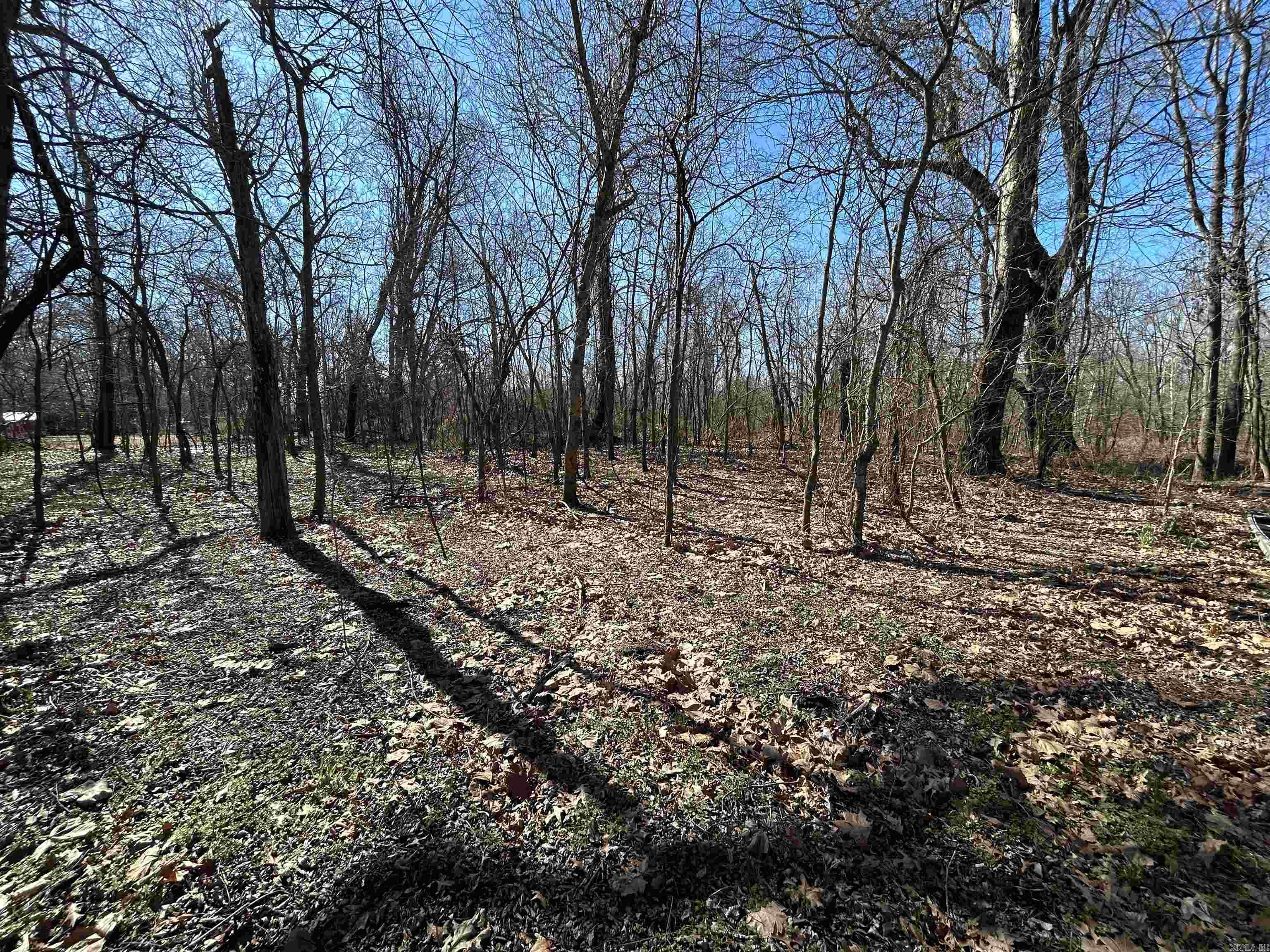 Trulock Bay Estates - Land