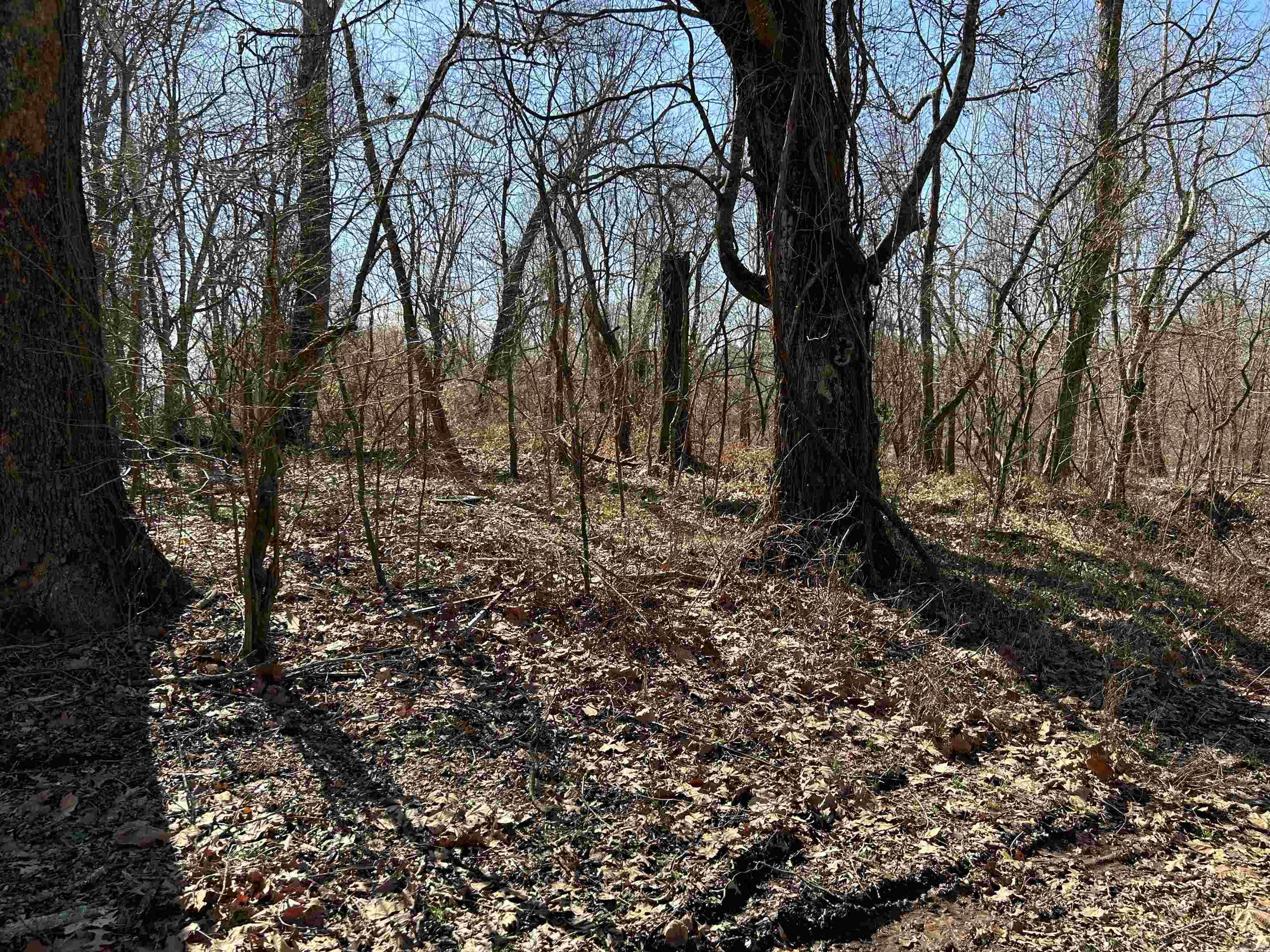 Trulock Bay Estates - Land