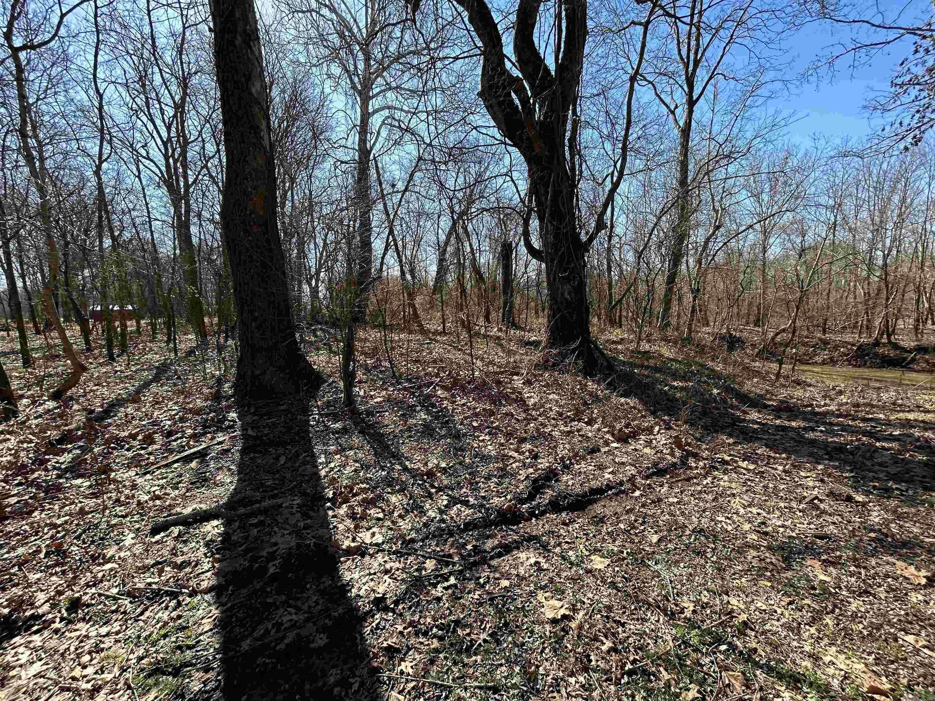 Trulock Bay Estates - Land