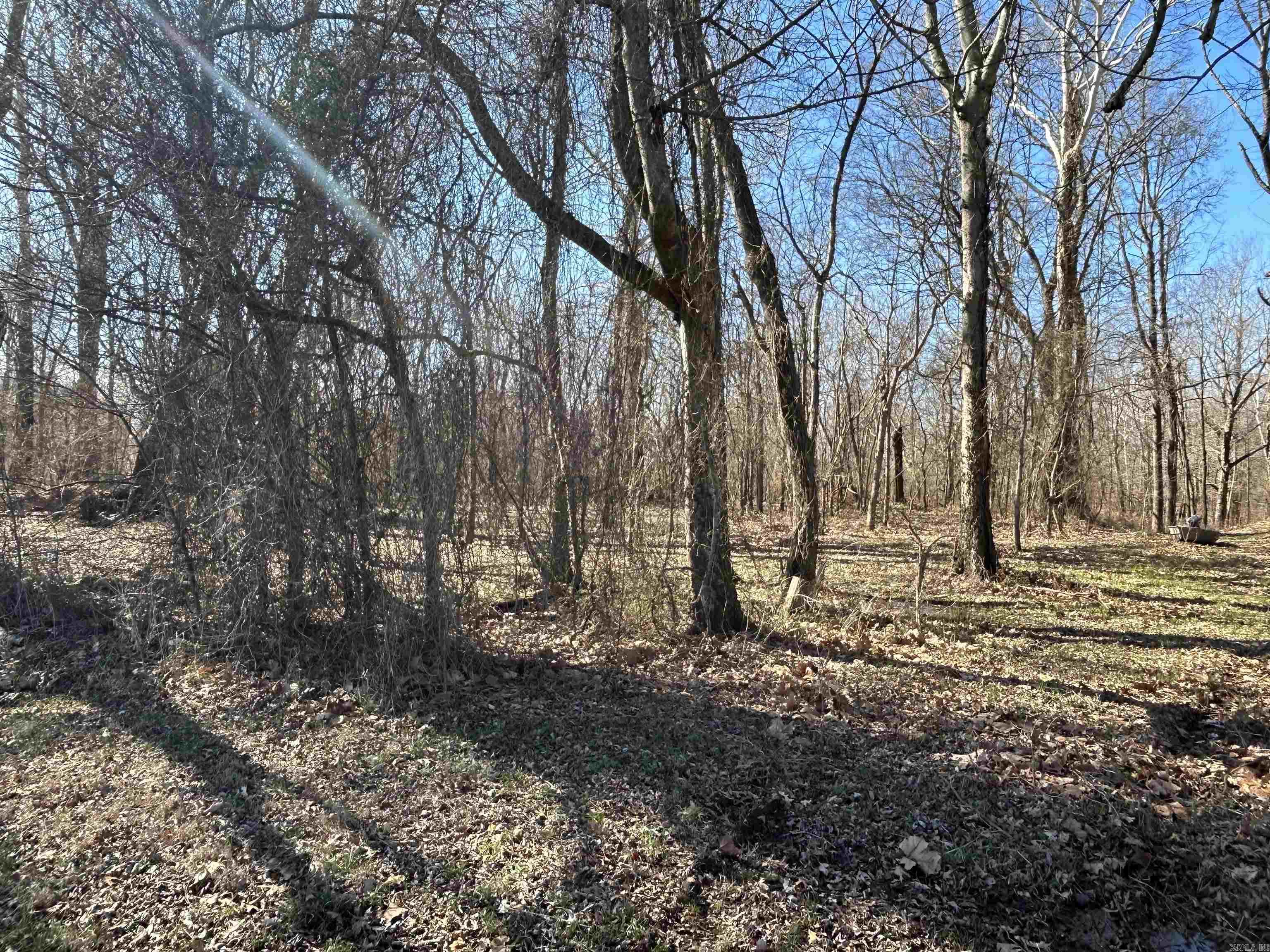 Trulock Bay Estates - Land