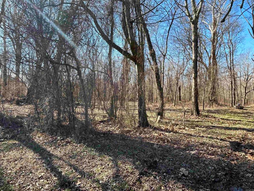 Enjoy this quiet lot located right off the Arkansas River. Just minutes from town.