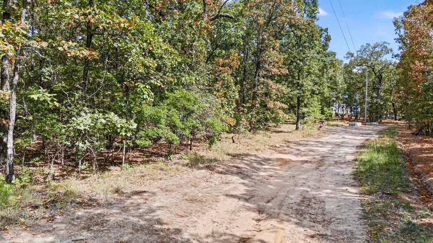 Imagine owning 2 acres atop Petit Jean; these 2 acres would be a prime location to build your dream home or Airbnb!! Wooded so you can determine how private you want to be. Close to hiking trails and scenic overlooks that Petit Jean is known for.